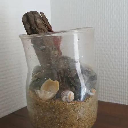Les Embruns Sables D'olonne Hotel
