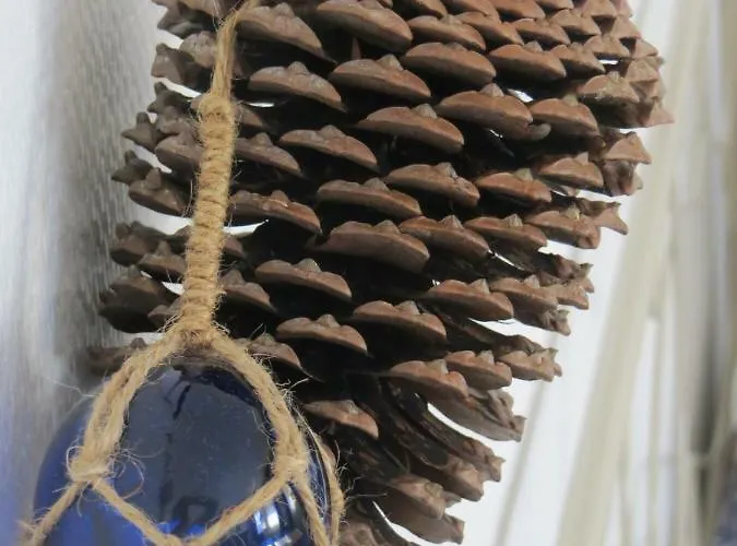 Les Embruns Sables D'olonne 2* Les Sables-dʼOlonne