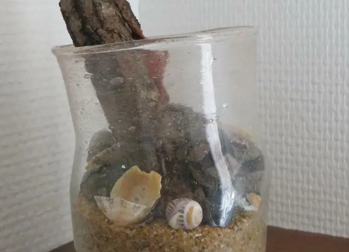 Les Embruns Sables D'olonne Szálloda