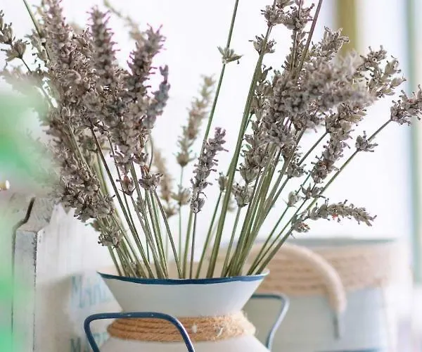 Les Embruns Sables D'olonne Szálloda